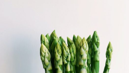 green plant on white background